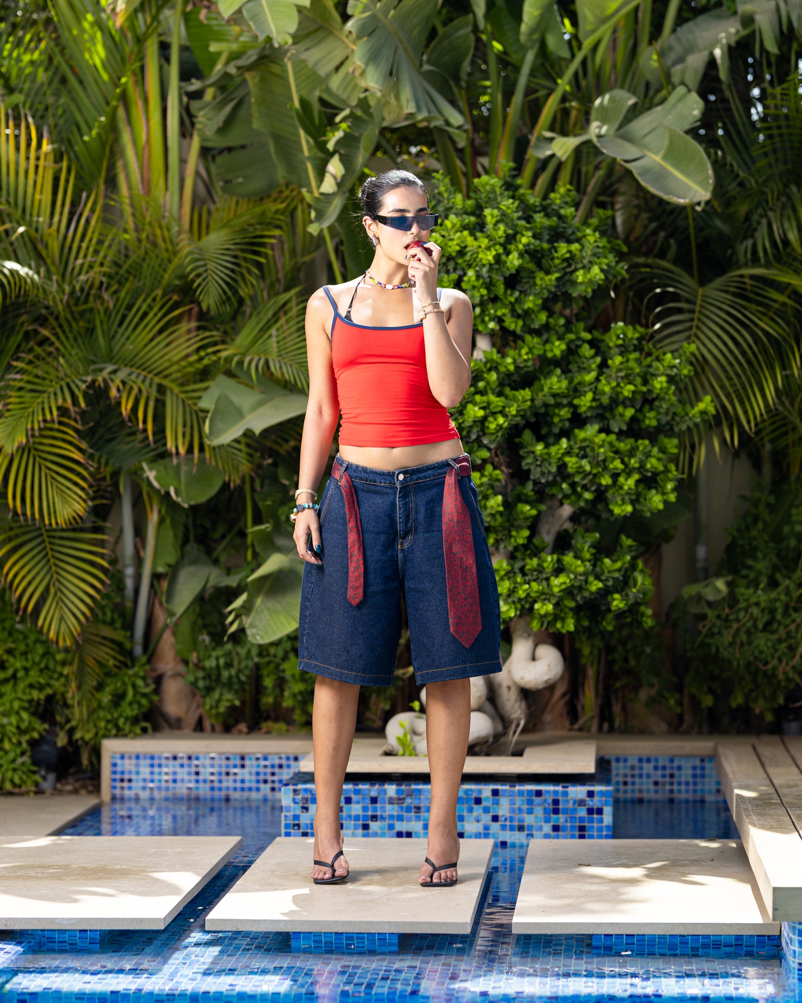 back [Color: RED & NAVY]